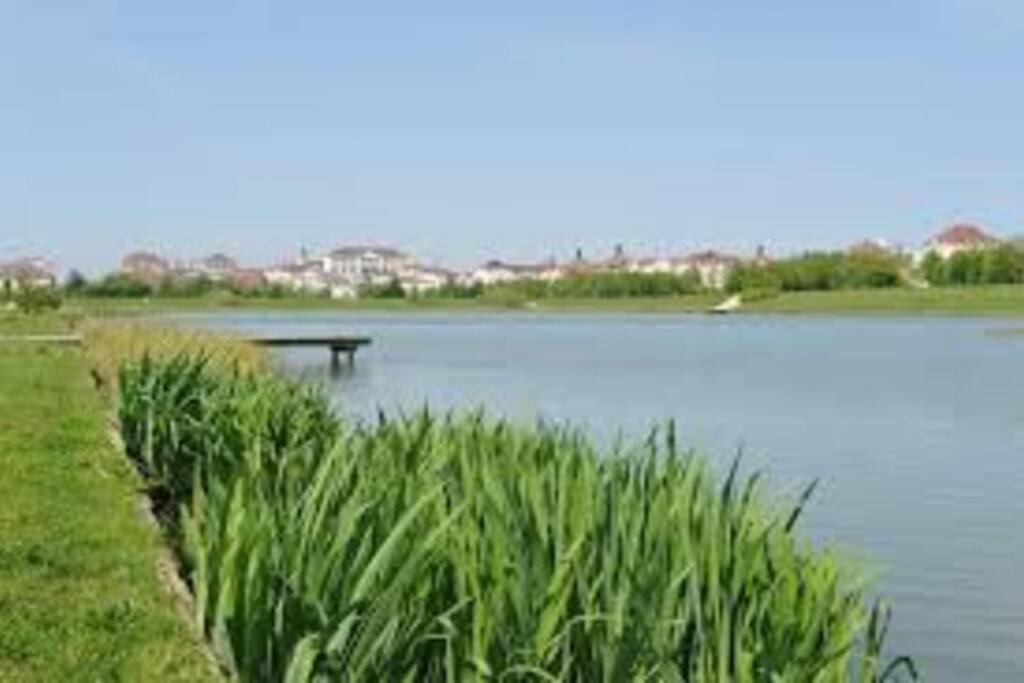 Cosy flat Appartement Bussy-Saint-Georges Buitenkant foto